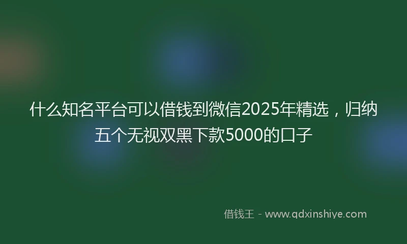 什么知名平台可以借钱到微信2025年精选，归纳五个无视双黑下款5000的口子
