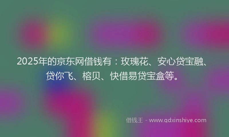 2025年的京东网借钱有：玫瑰花、安心贷宝融、贷你飞、榕贝、快借易贷宝盒等。