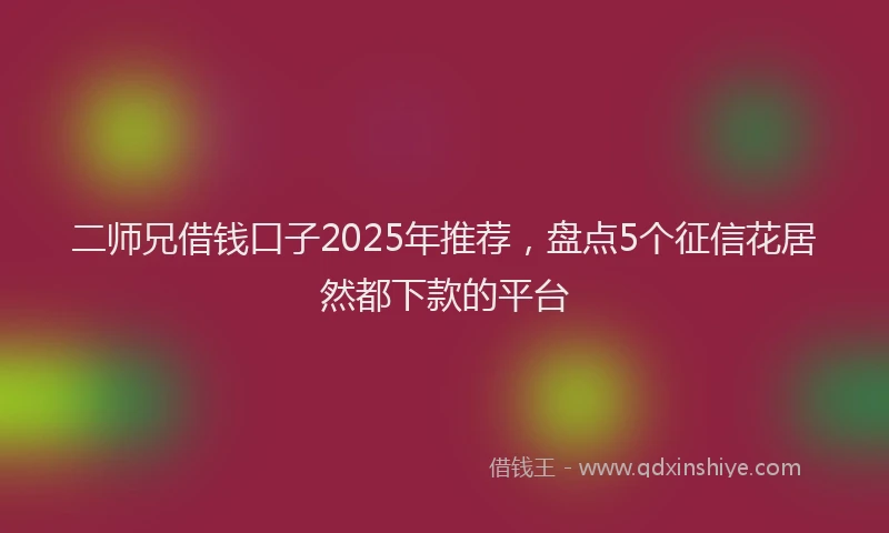 二师兄借钱口子2025年推荐，盘点5个征信花居然都下款的平台