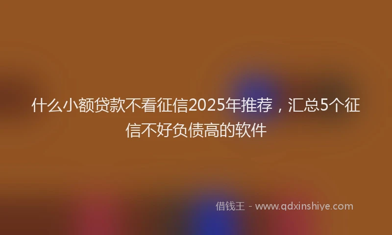 什么小额贷款不看征信2025年推荐，汇总5个征信不好负债高的软件