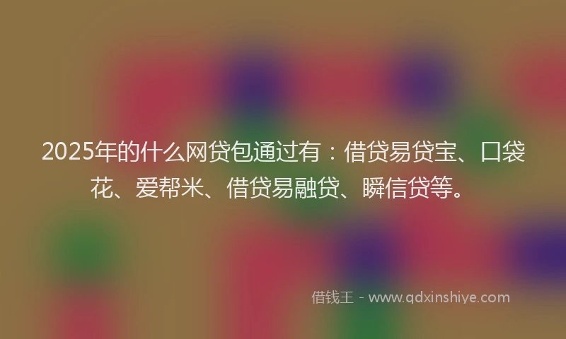 2025年的什么网贷包通过有：借贷易贷宝、口袋花、爱帮米、借贷易融贷、瞬信贷等。