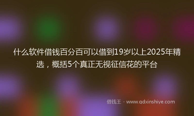什么软件借钱百分百可以借到19岁以上2025年精选，概括5个真正无视征信花的平台