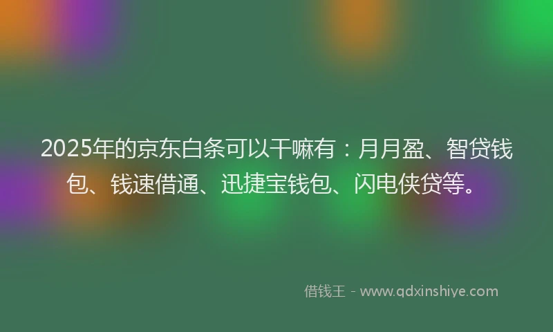 2025年的京东白条可以干嘛有:月月盈、智贷钱包、钱速借通、迅捷宝钱包、闪电侠贷等。