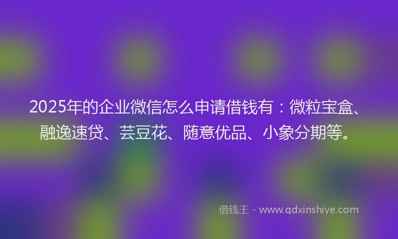 2025年的企业微信怎么申请借钱有：微粒宝盒、融逸速贷、芸豆花、随意优品、小象分期等。