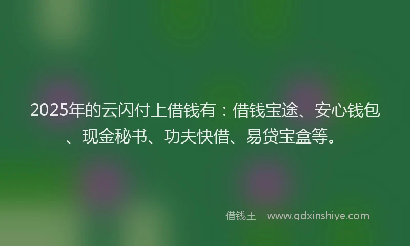 2025年的云闪付上借钱有：借钱宝途、安心钱包、现金秘书、功夫快借、易贷宝盒等。