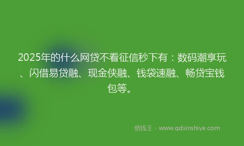 2025年的什么网贷不看征信秒下有：数码潮享玩、闪借易贷融、现金侠融、钱袋速融、畅贷宝钱包等。
