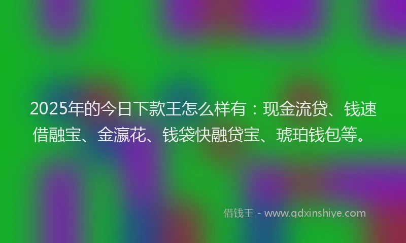 2025年的今日下款王怎么样有：现金流贷、钱速借融宝、金瀛花、钱袋快融贷宝、琥珀钱包等。