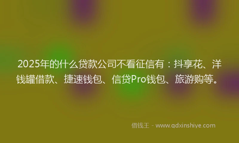 2025年的什么贷款公司不看征信有:抖享花、洋钱罐借款、捷速钱包、信贷Pro钱包、旅游购等。