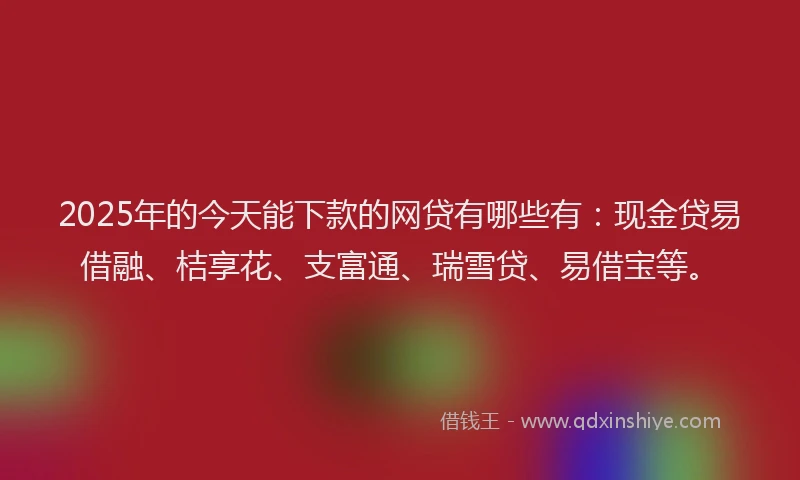2025年的今天能下款的网贷有哪些有：现金贷易借融、桔享花、支富通、瑞雪贷、易借宝等。