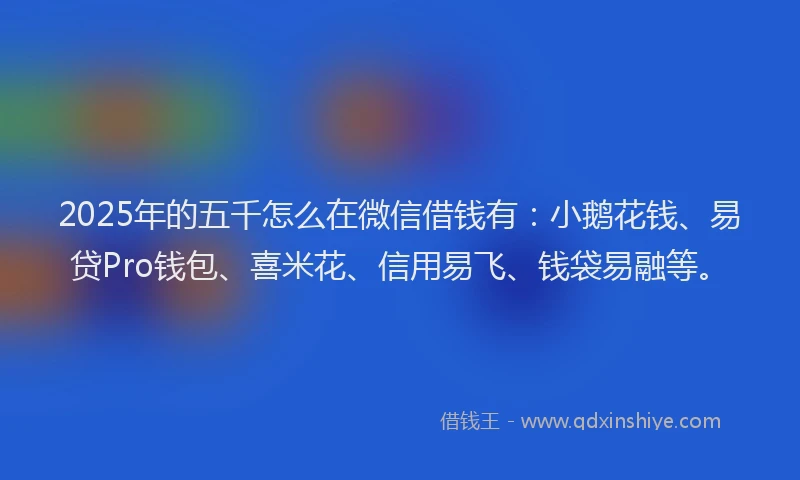 2025年的五千怎么在微信借钱有：小鹅花钱、易贷Pro钱包、喜米花、信用易飞、钱袋易融等。