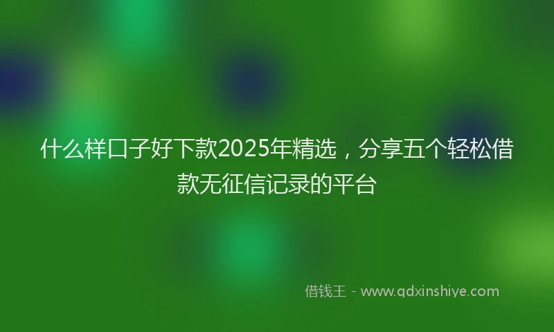 什么样口子好下款2025年精选,分享五个轻松借款无征信记录的平台