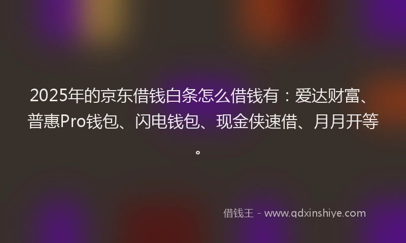 2025年的京东借钱白条怎么借钱有：爱达财富、普惠Pro钱包、闪电钱包、现金侠速借、月月开等。