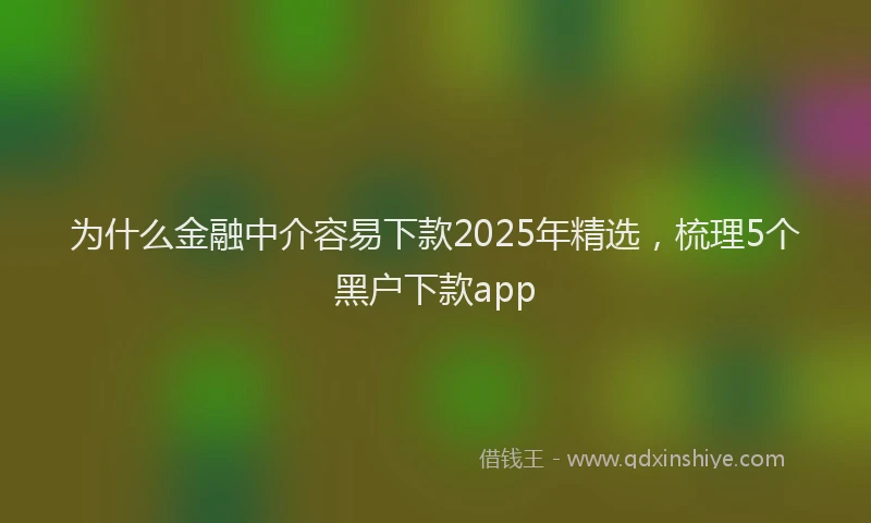 为什么金融中介容易下款2025年精选，梳理5个黑户下款app