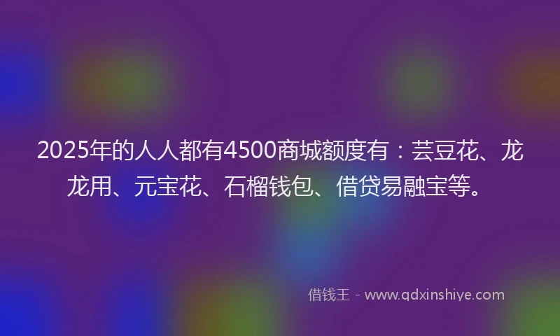 2025年的人人都有4500商城额度有:芸豆花、龙龙用、元宝花、石榴钱包、借贷易融宝等。