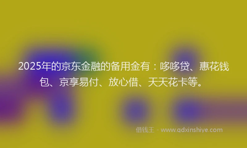 2025年的京东金融的备用金有：哆哆贷、惠花钱包、京享易付、放心借、天天花卡等。
