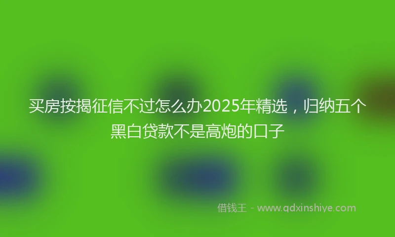 买房按揭征信不过怎么办2025年精选,归纳五个黑白贷款不是高炮的口子