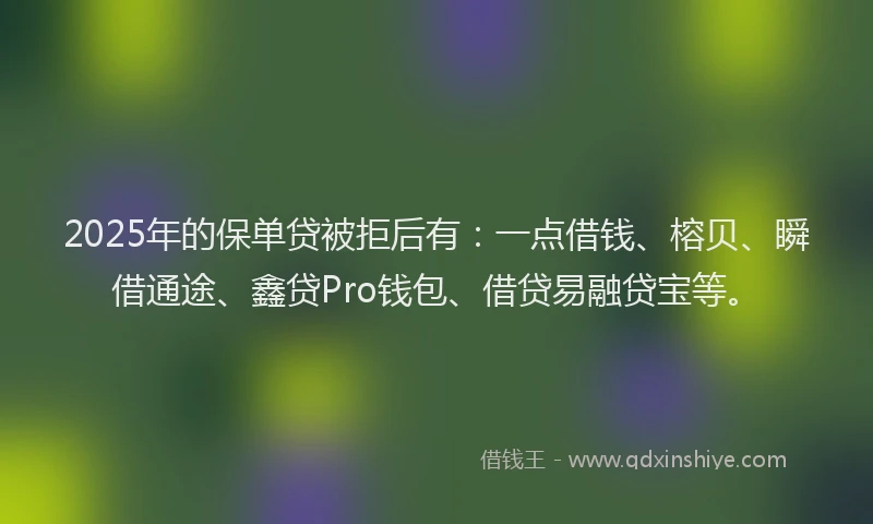 2025年的保单贷被拒后有：一点借钱、榕贝、瞬借通途、鑫贷Pro钱包、借贷易融贷宝等。