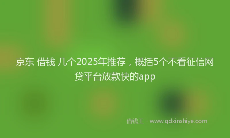 京东 借钱 几个2025年推荐，概括5个不看征信网贷平台放款快的app