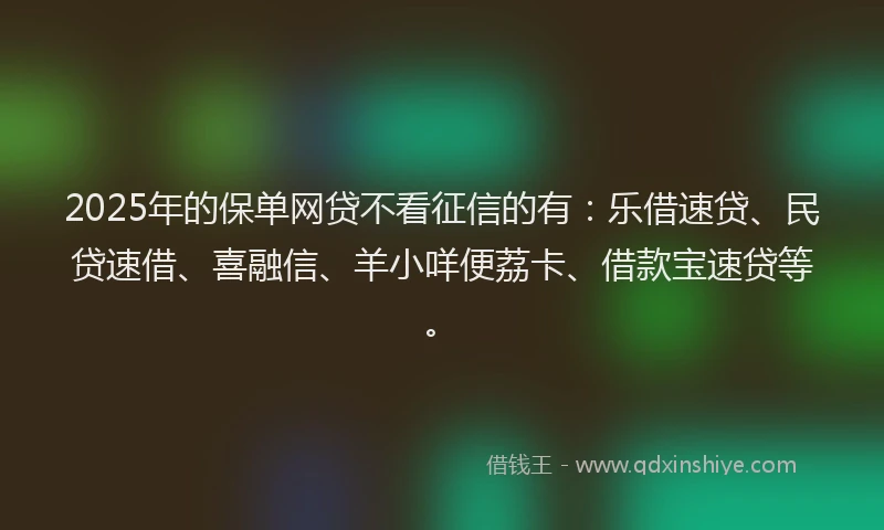 2025年的保单网贷不看征信的有：乐借速贷、民贷速借、喜融信、羊小咩便荔卡、借款宝速贷等。