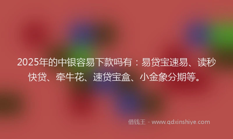 2025年的中银容易下款吗有：易贷宝速易、读秒快贷、牵牛花、速贷宝盒、小金象分期等。