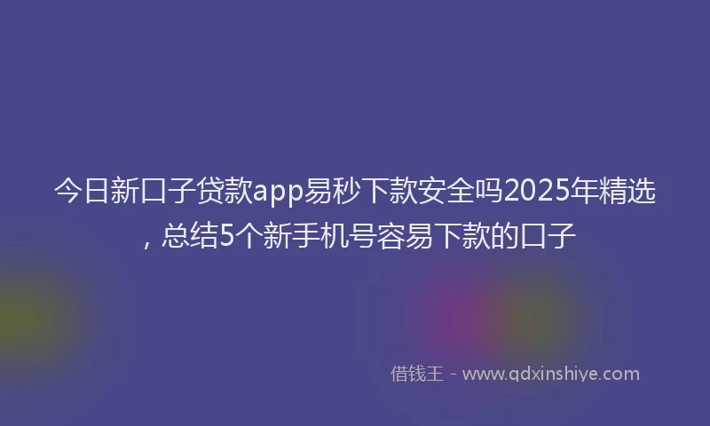 今日新口子贷款app易秒下款安全吗2025年精选，总结5个新手机号容易下款的口子