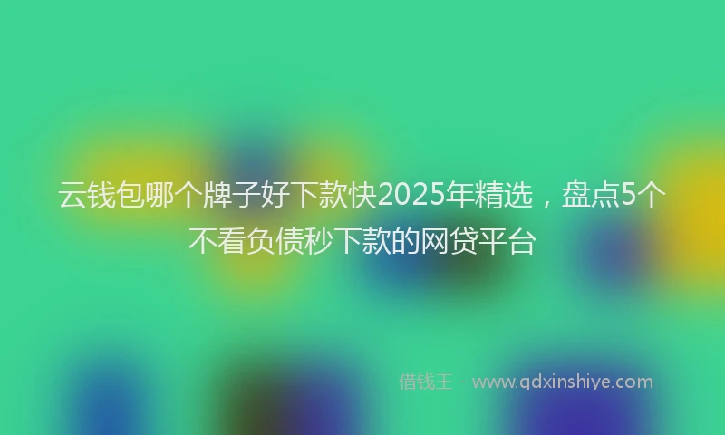 云钱包哪个牌子好下款快2025年精选，盘点5个不看负债秒下款的网贷平台