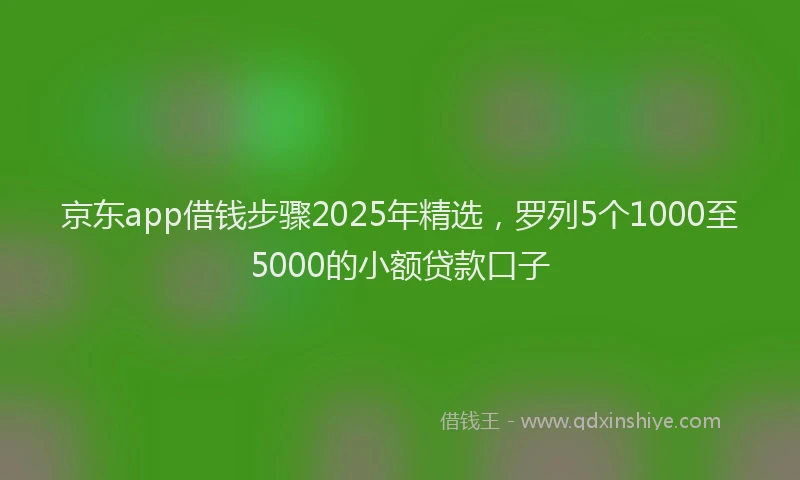 京东app借钱步骤2025年精选，罗列5个1000至5000的小额贷款口子