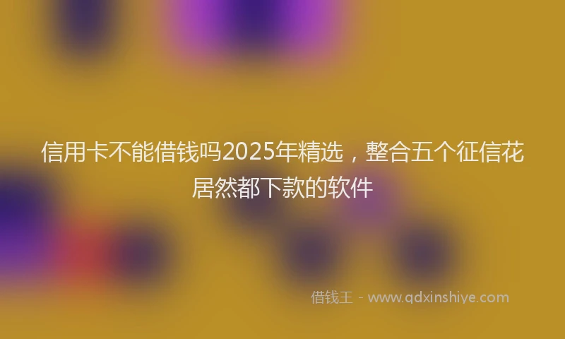 信用卡不能借钱吗2025年精选，整合五个征信花居然都下款的软件