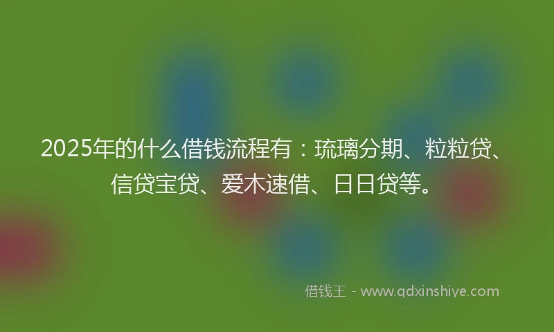 2025年的什么借钱流程有:琉璃分期、粒粒贷、信贷宝贷、爱木速借、日日贷等。