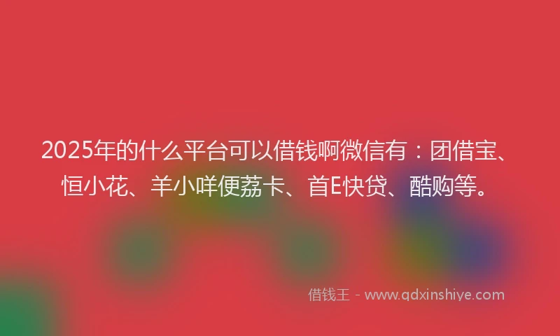 2025年的什么平台可以借钱啊微信有：团借宝、恒小花、羊小咩便荔卡、首E快贷、酷购等。
