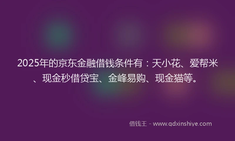2025年的京东金融借钱条件有：天小花、爱帮米、现金秒借贷宝、金峰易购、现金猫等。