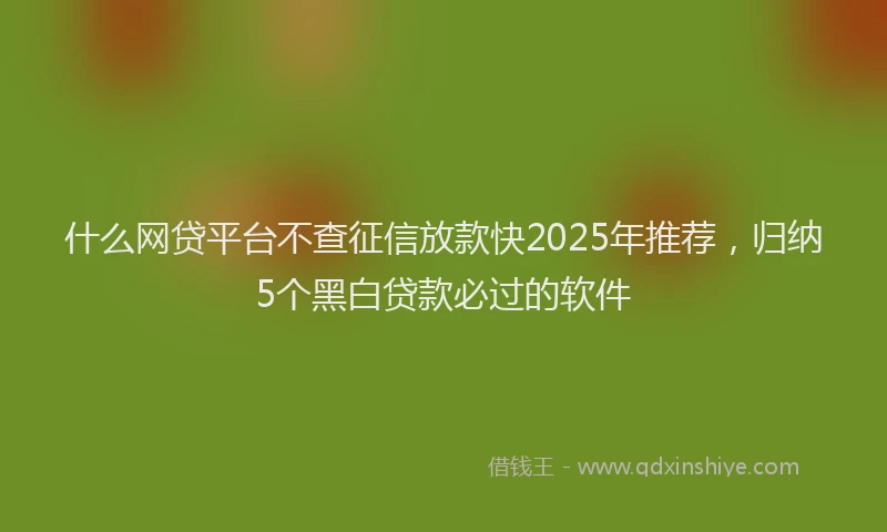 什么网贷平台不查征信放款快2025年推荐，归纳5个黑白贷款必过的软件
