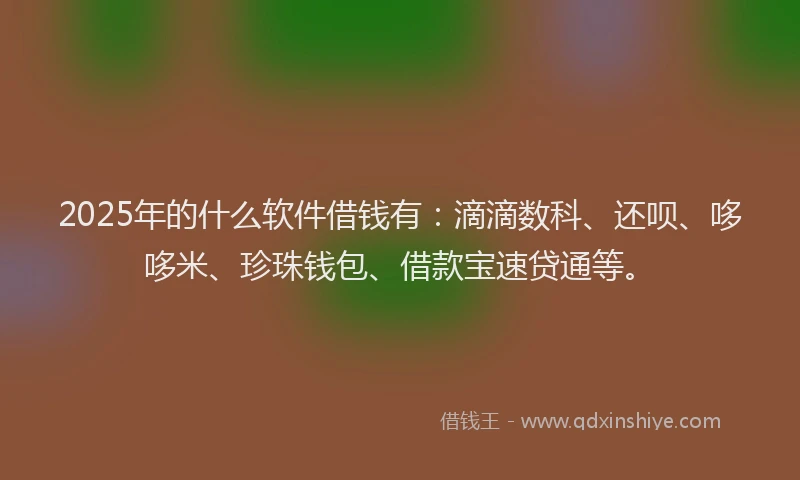 2025年的什么软件借钱有：滴滴数科、还呗、哆哆米、珍珠钱包、借款宝速贷通等。