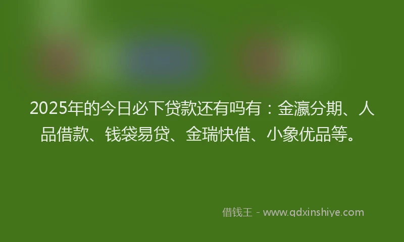 2025年的今日必下贷款还有吗有：金瀛分期、人品借款、钱袋易贷、金瑞快借、小象优品等。
