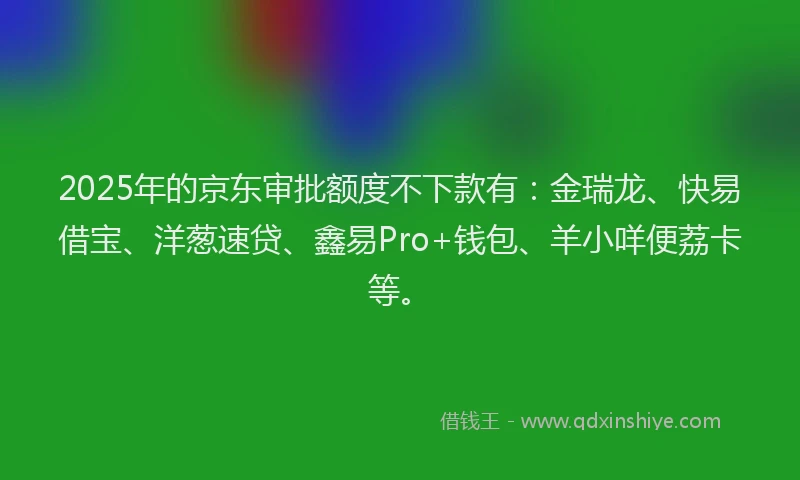 2025年的京东审批额度不下款有:金瑞龙、快易借宝、洋葱速贷、鑫易Pro+钱包、羊小咩便荔卡等。