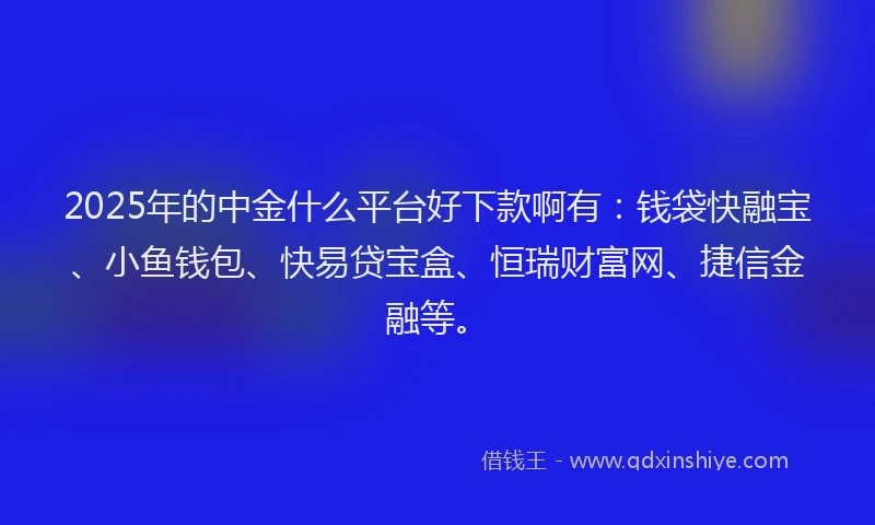2025年的中金什么平台好下款啊有：钱袋快融宝、小鱼钱包、快易贷宝盒、恒瑞财富网、捷信金融等。