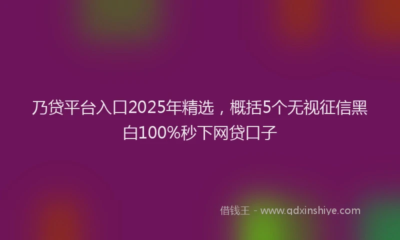 乃贷平台入口2025年精选,概括5个无视征信黑白100%秒下网贷口子