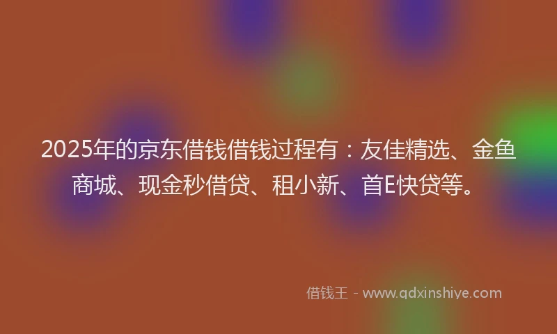2025年的京东借钱借钱过程有：友佳精选、金鱼商城、现金秒借贷、租小新、首E快贷等。
