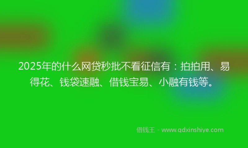 2025年的什么网贷秒批不看征信有：拍拍用、易得花、钱袋速融、借钱宝易、小融有钱等。