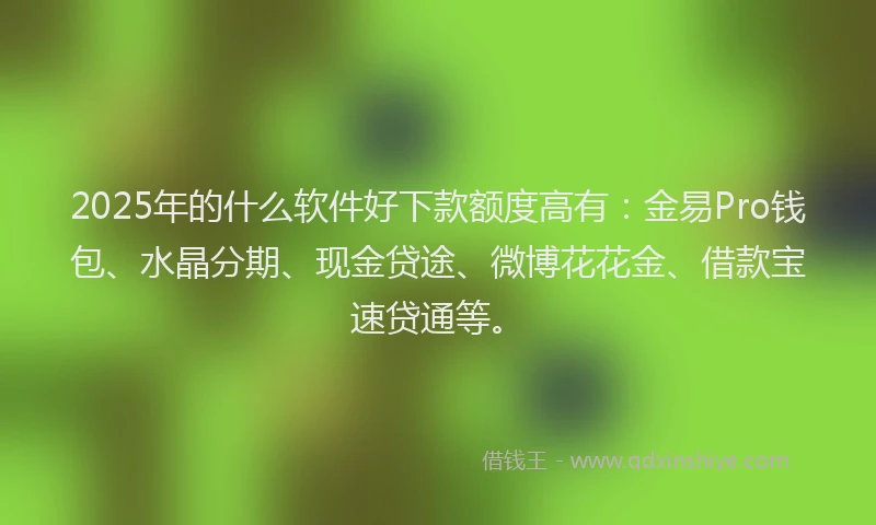 2025年的什么软件好下款额度高有：金易Pro钱包、水晶分期、现金贷途、微博花花金、借款宝速贷通等。