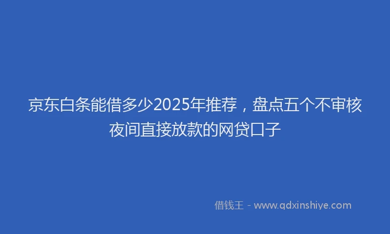 京东白条能借多少2025年推荐，盘点五个不审核夜间直接放款的网贷口子