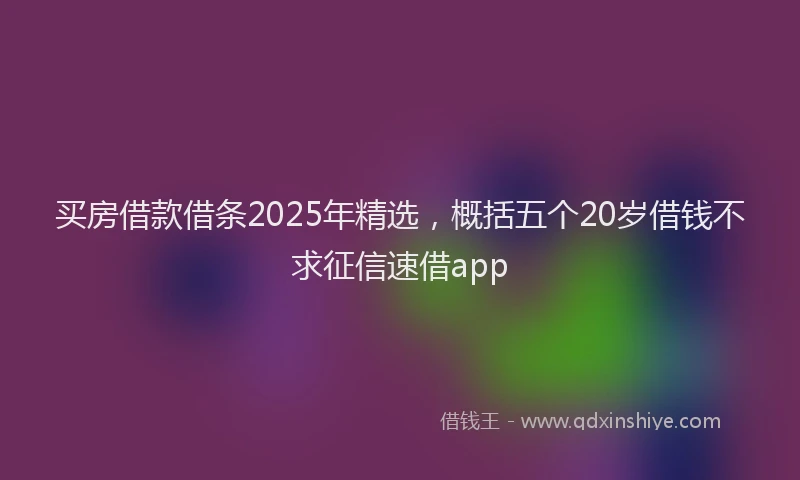 买房借款借条2025年精选，概括五个20岁借钱不求征信速借app