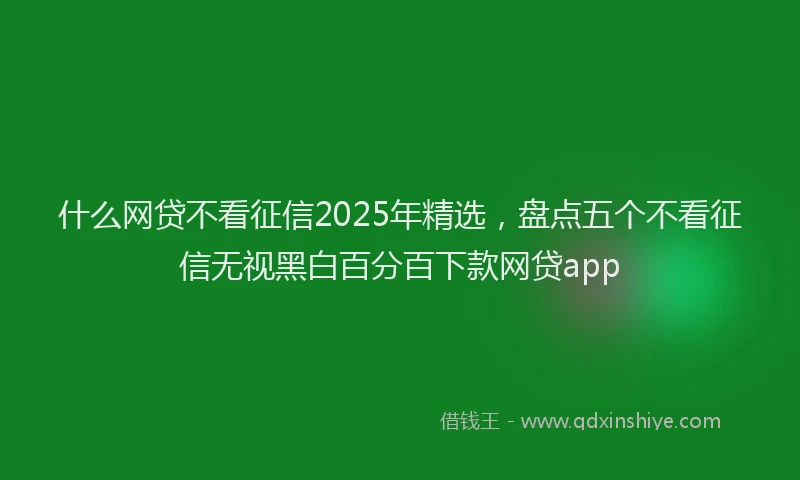 什么网贷不看征信2025年精选，盘点五个不看征信无视黑白百分百下款网贷app