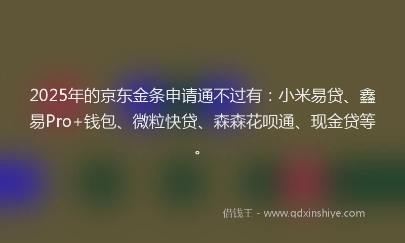 2025年的京东金条申请通不过有：小米易贷、鑫易Pro+钱包、微粒快贷、森森花呗通、现金贷等。