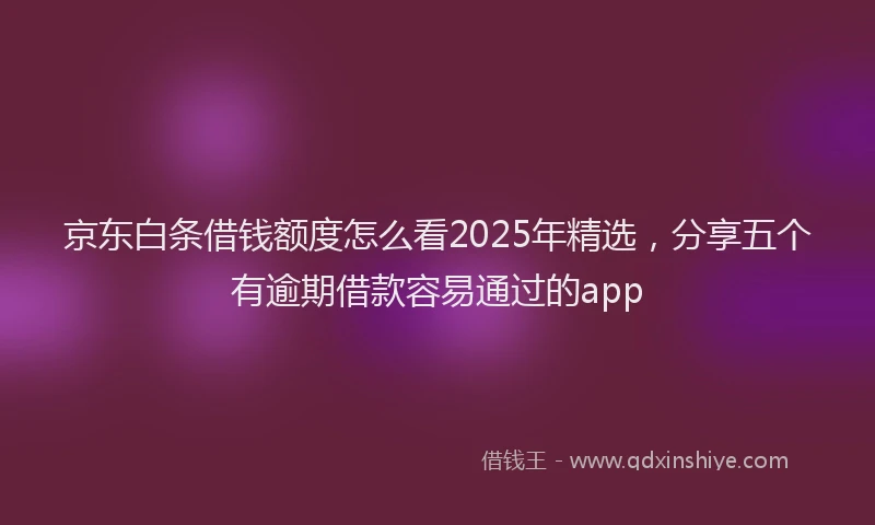 京东白条借钱额度怎么看2025年精选，分享五个有逾期借款容易通过的app