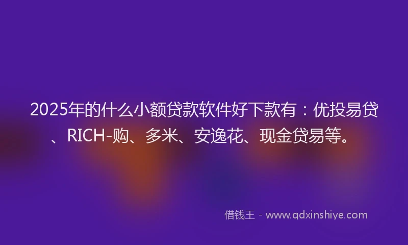 2025年的什么小额贷款软件好下款有：优投易贷、RICH-购、多米、安逸花、现金贷易等。
