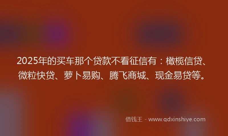 2025年的买车那个贷款不看征信有：橄榄信贷、微粒快贷、萝卜易购、腾飞商城、现金易贷等。