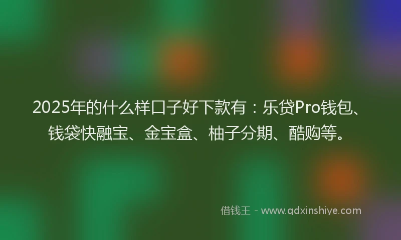 2025年的什么样口子好下款有:乐贷Pro钱包、钱袋快融宝、金宝盒、柚子分期、酷购等。