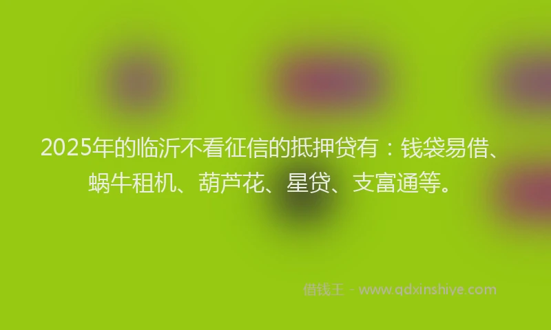 2025年的临沂不看征信的抵押贷有：钱袋易借、蜗牛租机、葫芦花、星贷、支富通等。
