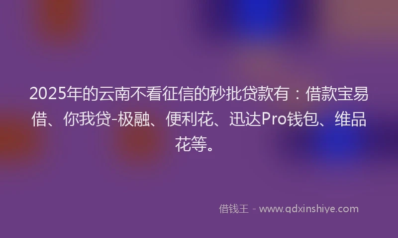 2025年的云南不看征信的秒批贷款有：借款宝易借、你我贷-极融、便利花、迅达Pro钱包、维品花等。